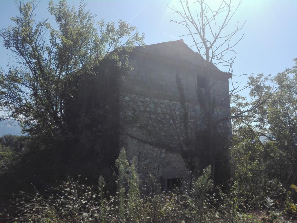 immagine annuncio 5 di 6