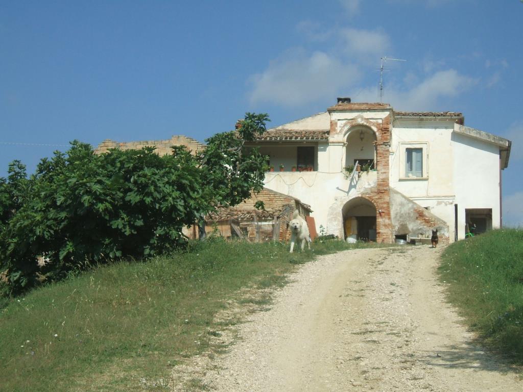 immagine annuncio 3 di 6