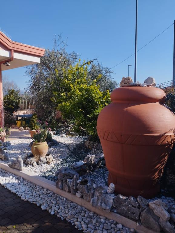 immagine annuncio 1 di 7