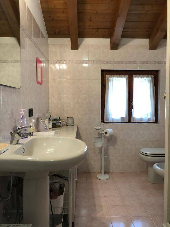 immagine annuncio 4 di 7