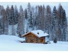 Foto - Affitto Baita/Chalet/Trullo Vacanze da Privato a Soraga di Fassa (Trento)