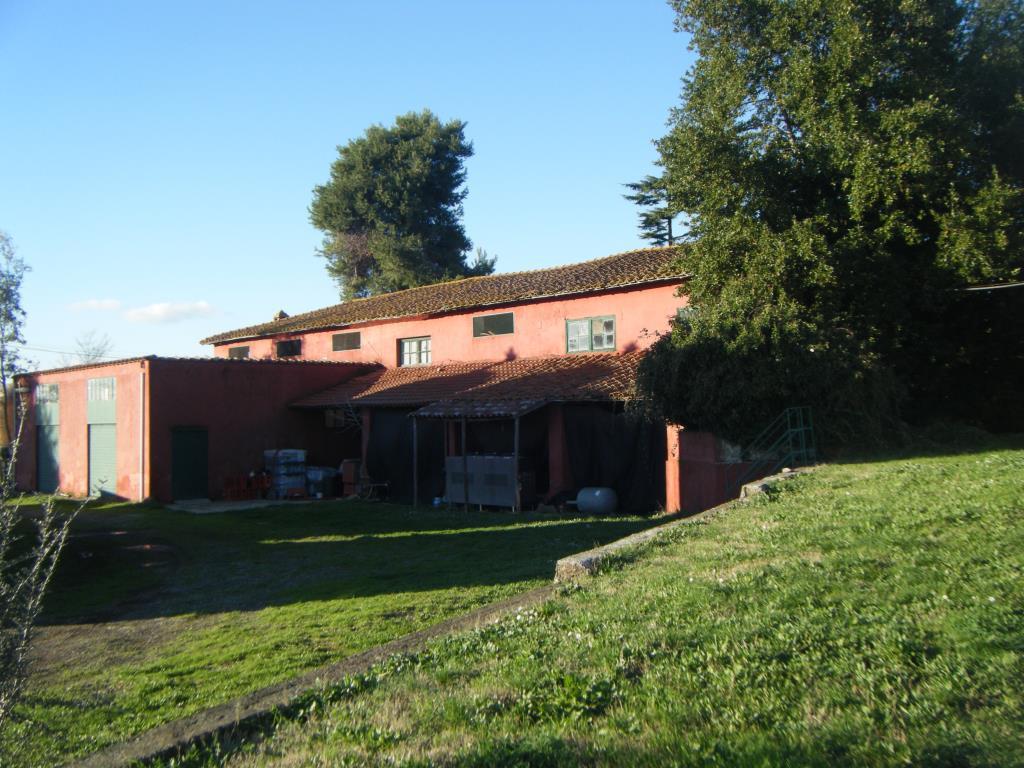 immagine annuncio 3 di 7