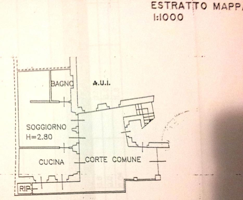 immagine annuncio 6 di 7
