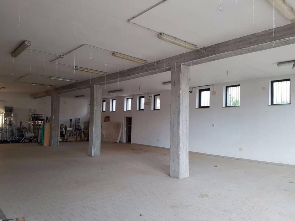 immagine annuncio 2 di 7