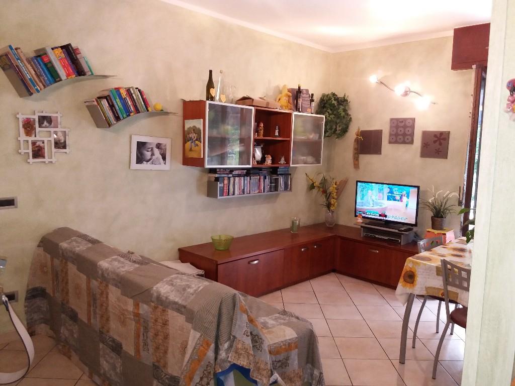 immagine annuncio 5 di 7