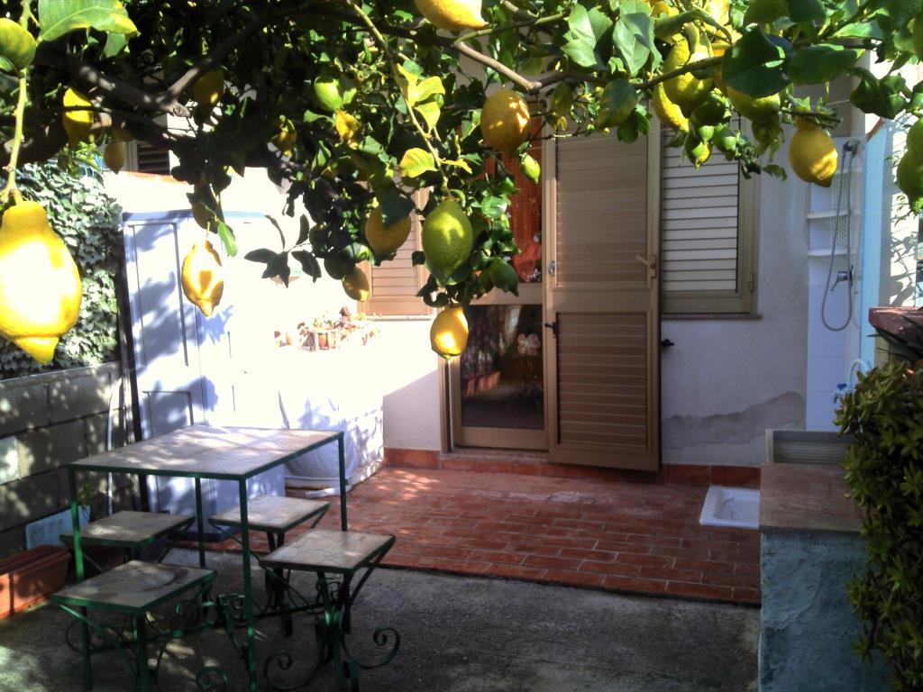 immagine annuncio 1 di 7