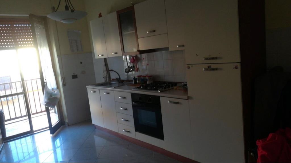 immagine annuncio 4 di 6