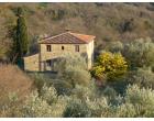 Foto - Rustico/Casale in Vendita a Scansano (Grosseto)