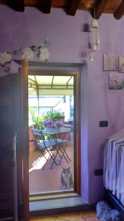 immagine annuncio 5 di 7