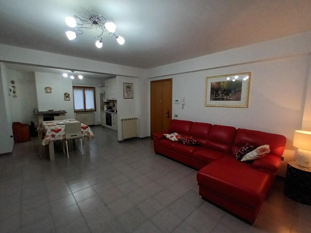 immagine annuncio 1 di 7