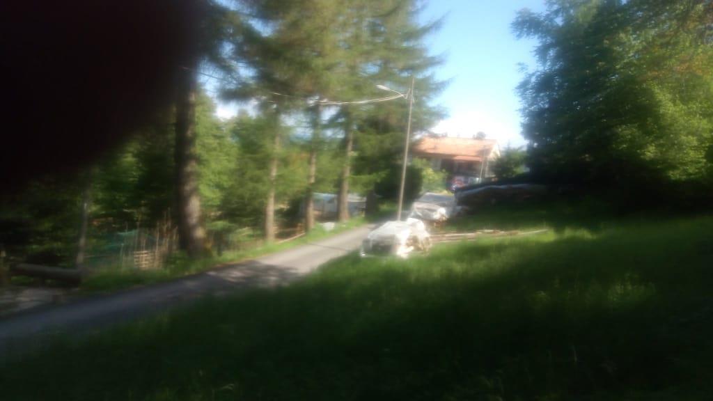 immagine annuncio 1 di 2
