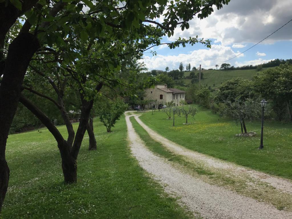 immagine annuncio 5 di 6