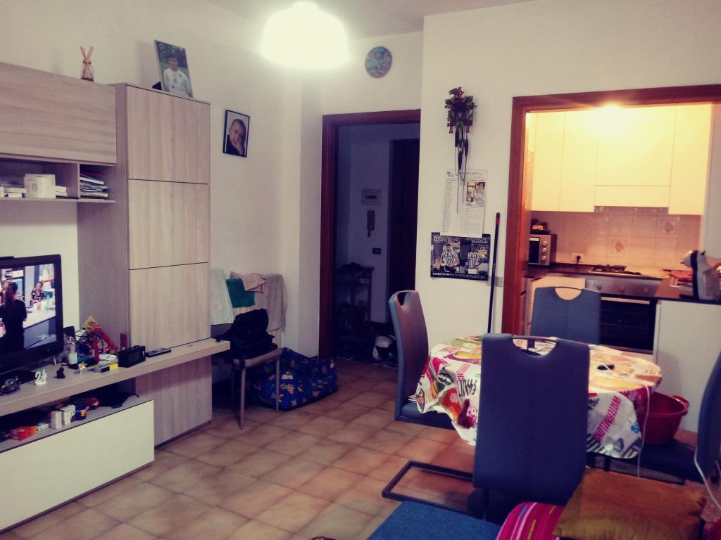 immagine annuncio 2 di 7