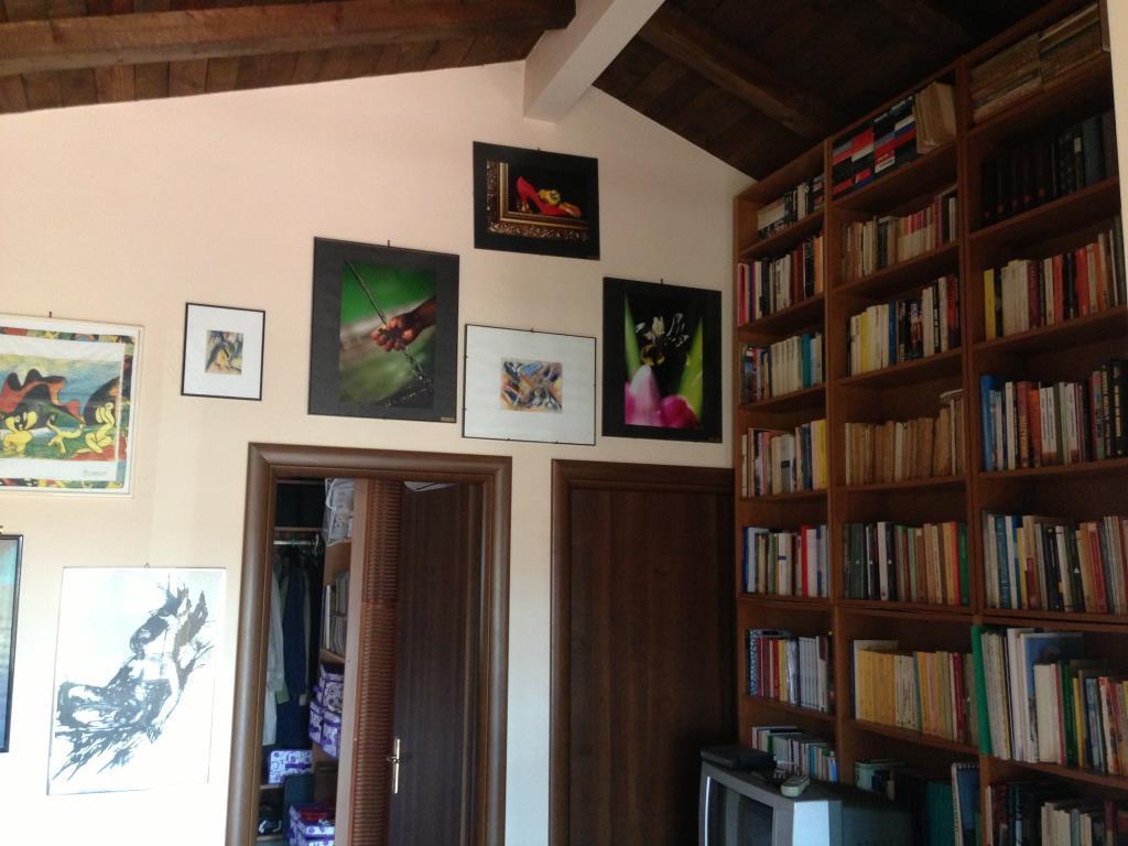 immagine annuncio 3 di 7