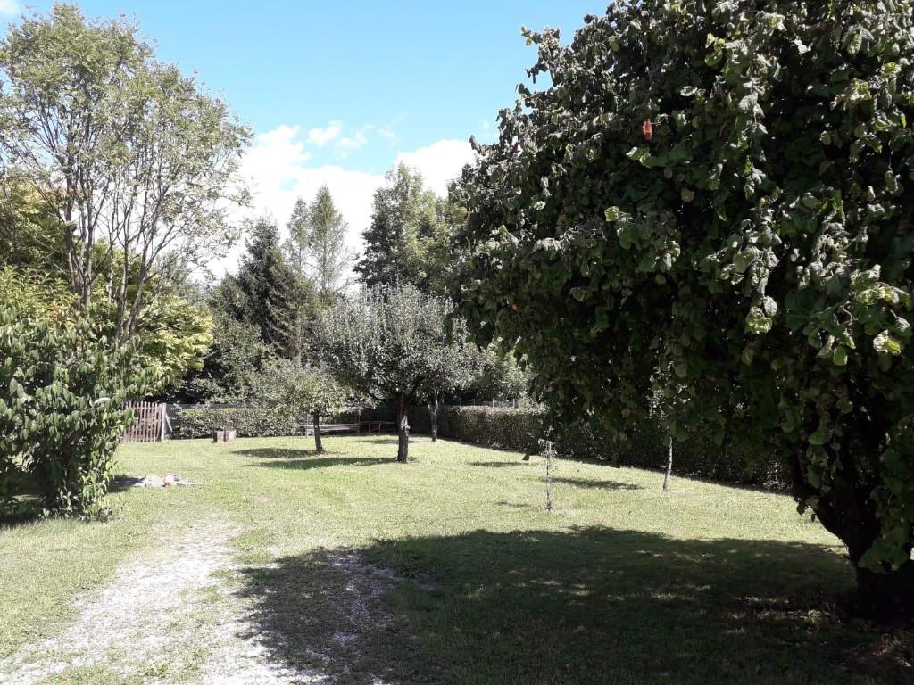 immagine annuncio 6 di 7