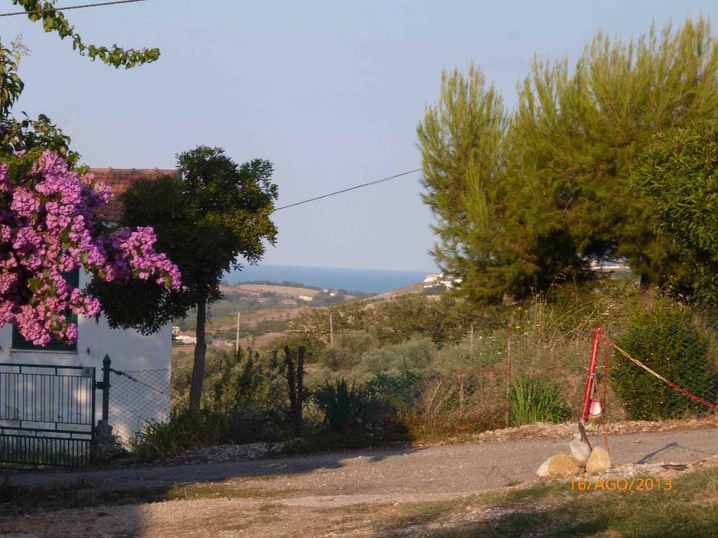 immagine annuncio 5 di 7