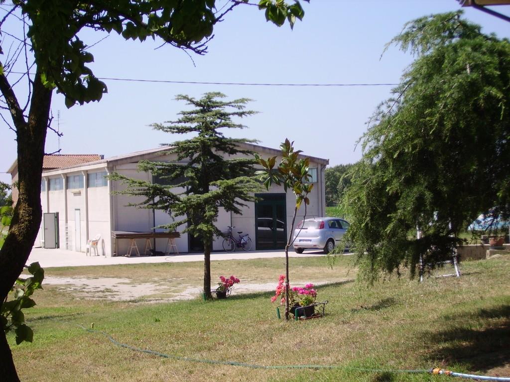 immagine annuncio 3 di 7