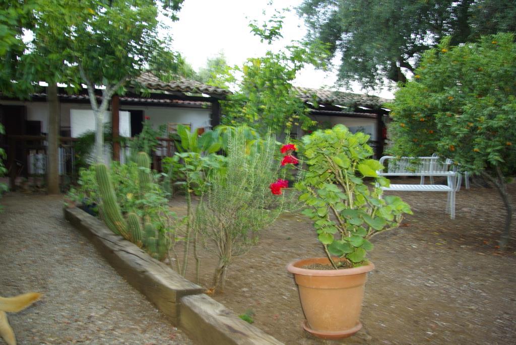 immagine annuncio 5 di 7