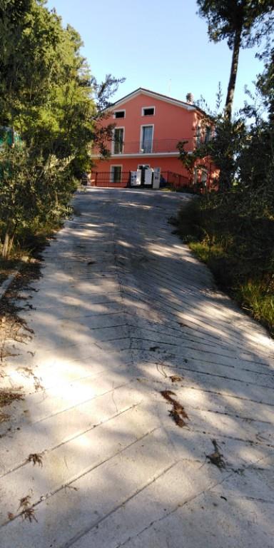 immagine annuncio 4 di 7