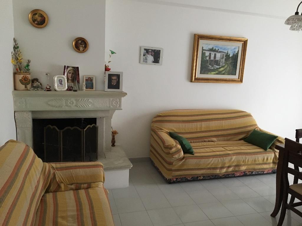 immagine annuncio 3 di 7