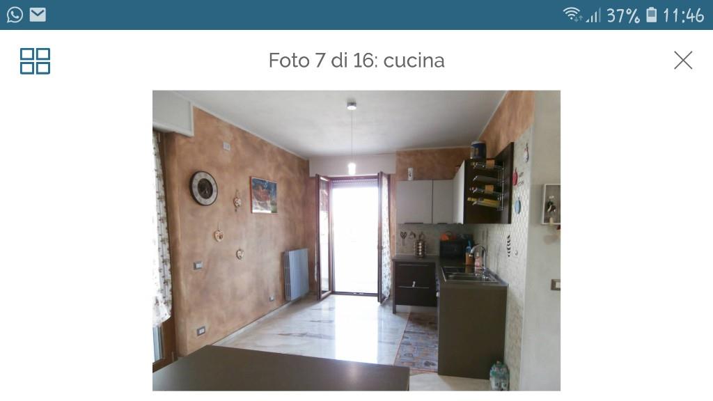immagine annuncio 3 di 7