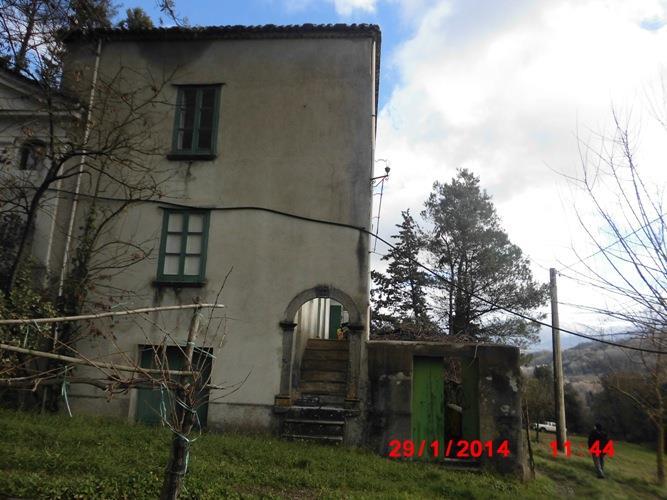 immagine annuncio 3 di 7