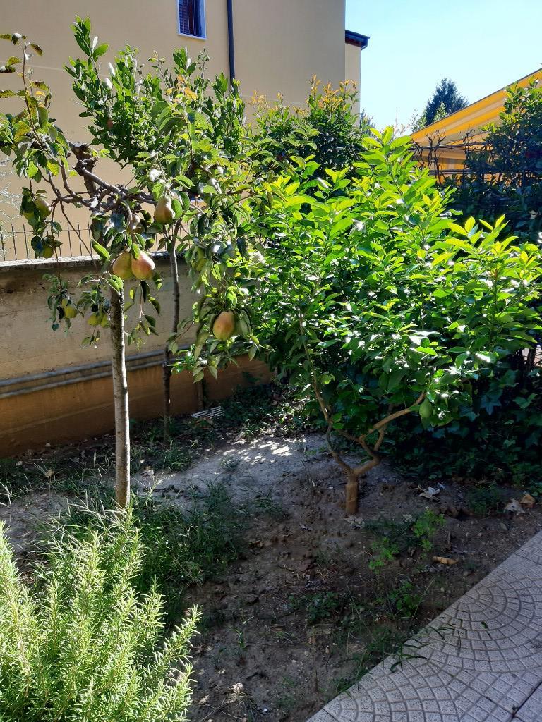 immagine annuncio 1 di 7