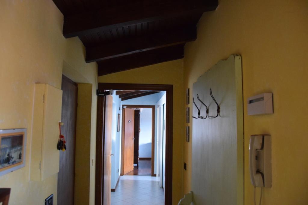 immagine annuncio 2 di 7