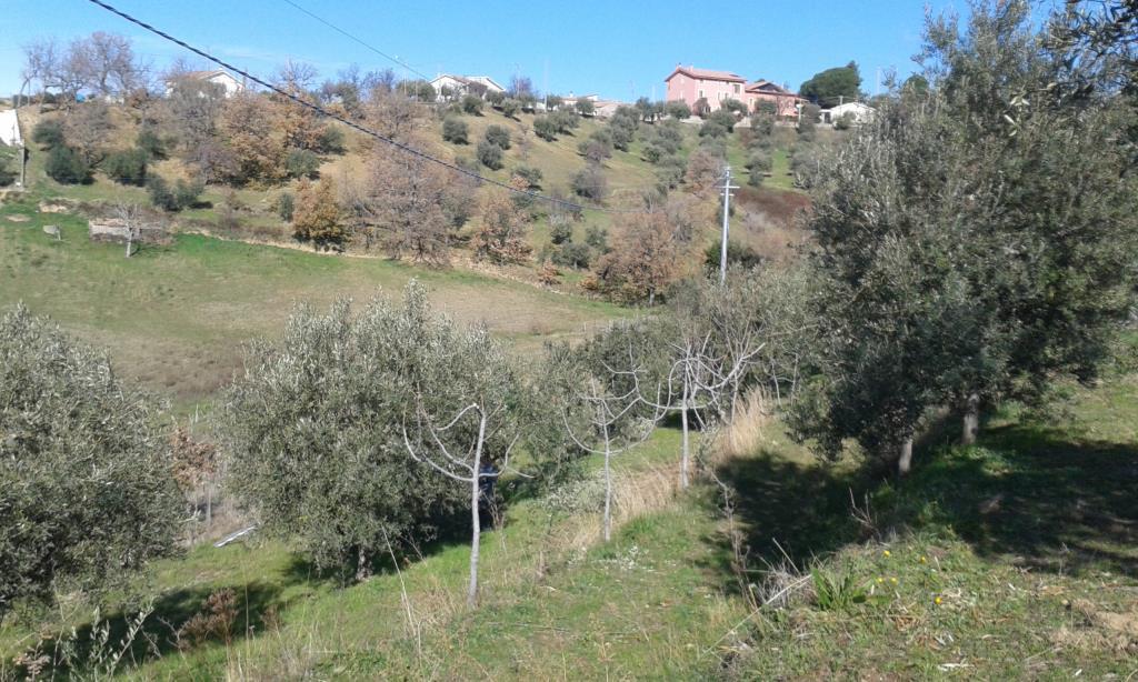immagine annuncio 1 di 4