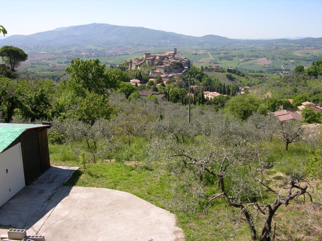 immagine annuncio 3 di 4