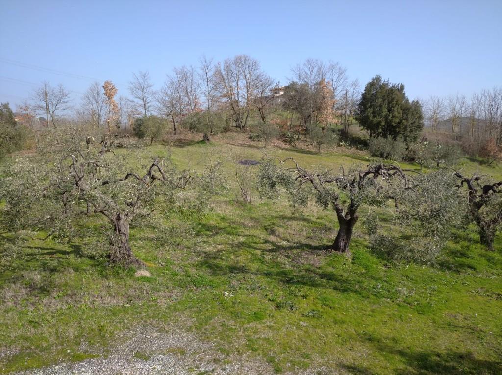immagine annuncio 6 di 7
