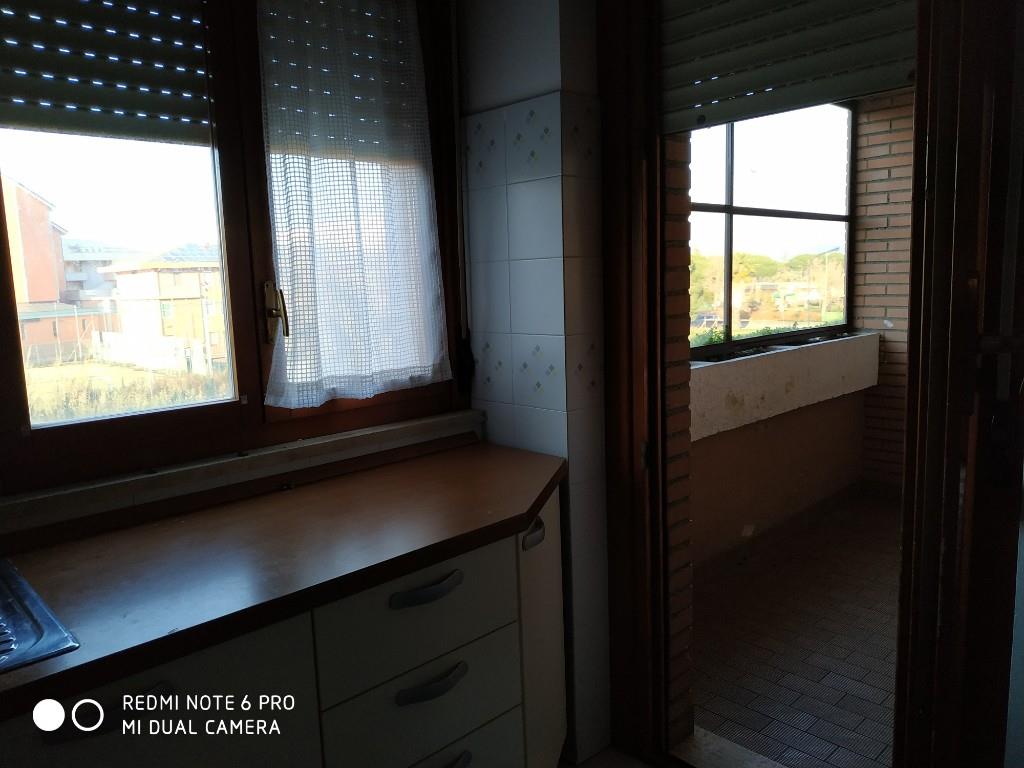 immagine annuncio 2 di 7