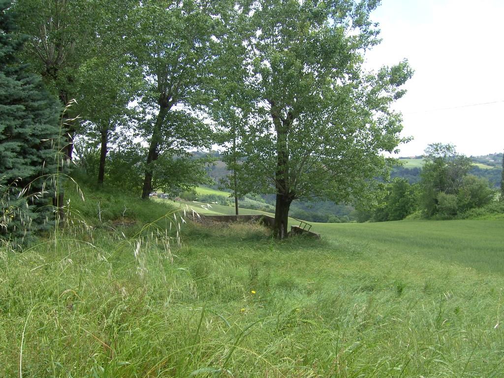 immagine annuncio 4 di 7