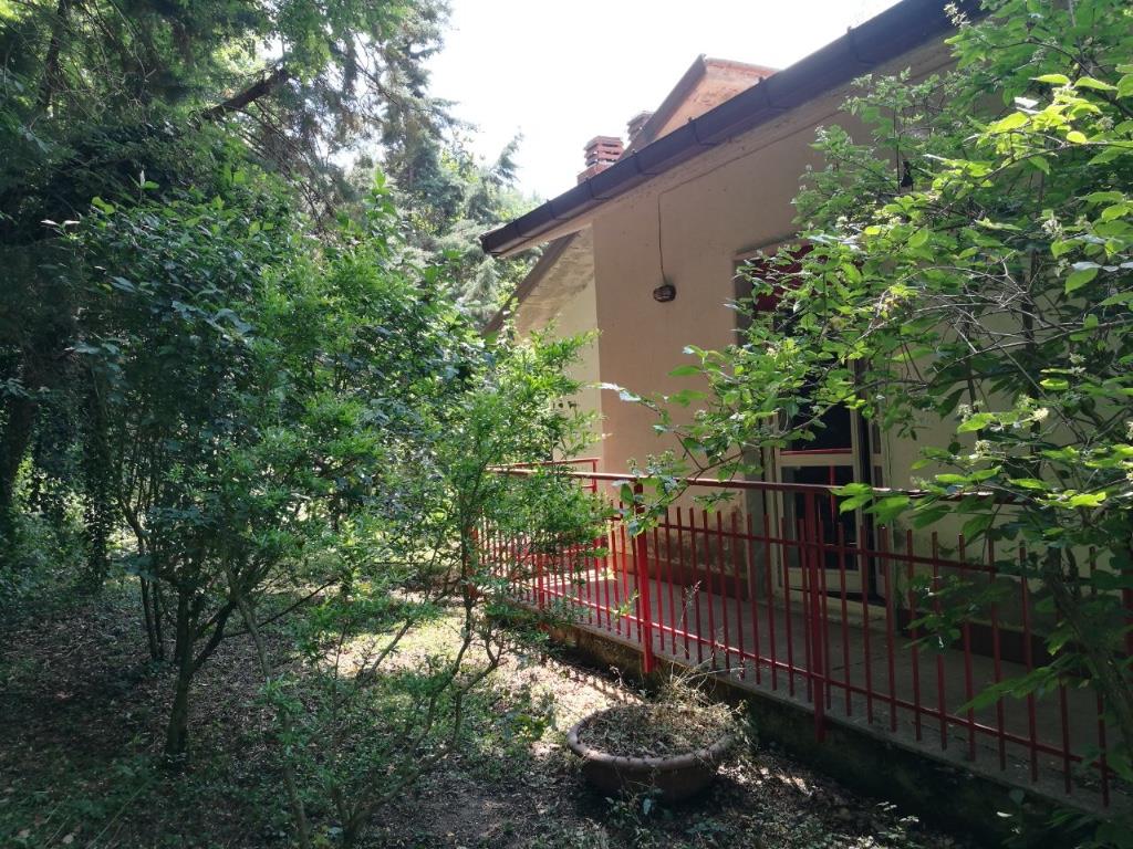 immagine annuncio 1 di 7