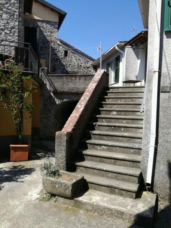 immagine annuncio 2 di 7