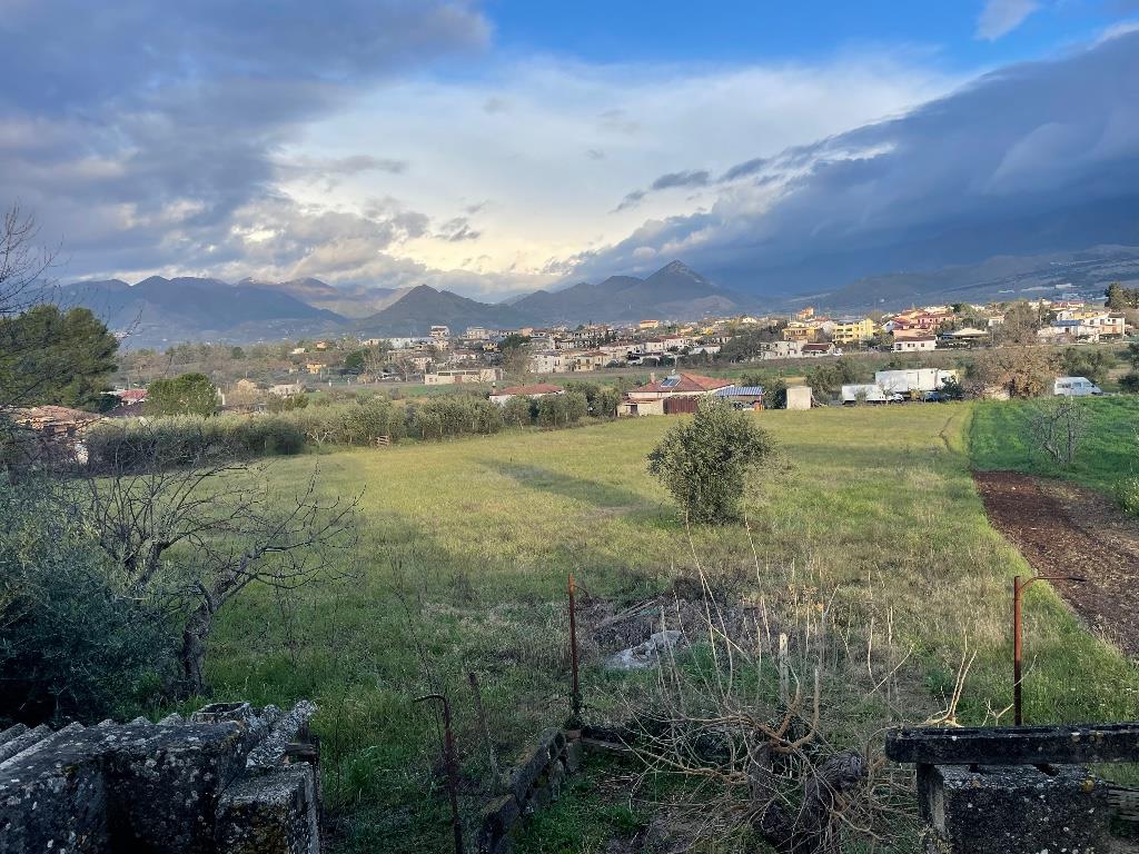 immagine annuncio 2 di 4
