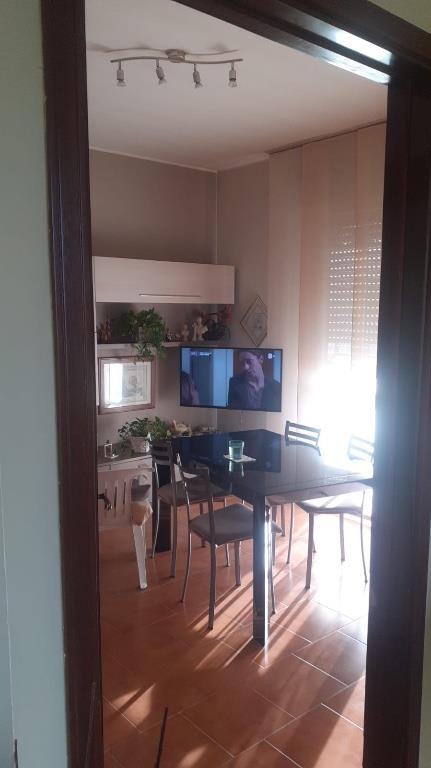 immagine annuncio 2 di 7