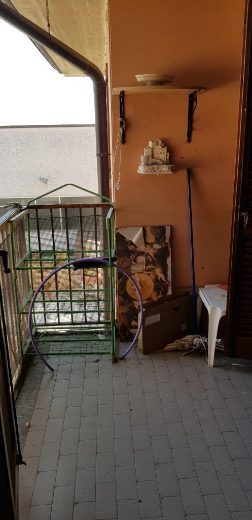 immagine annuncio 2 di 7