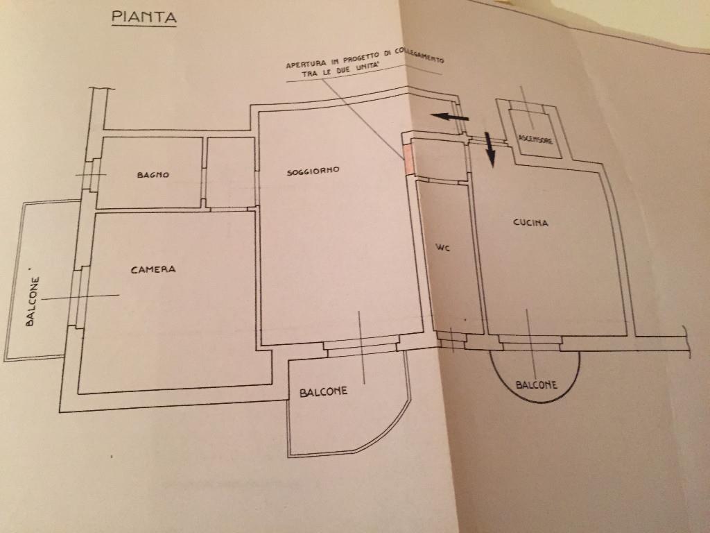 immagine annuncio 1 di 7