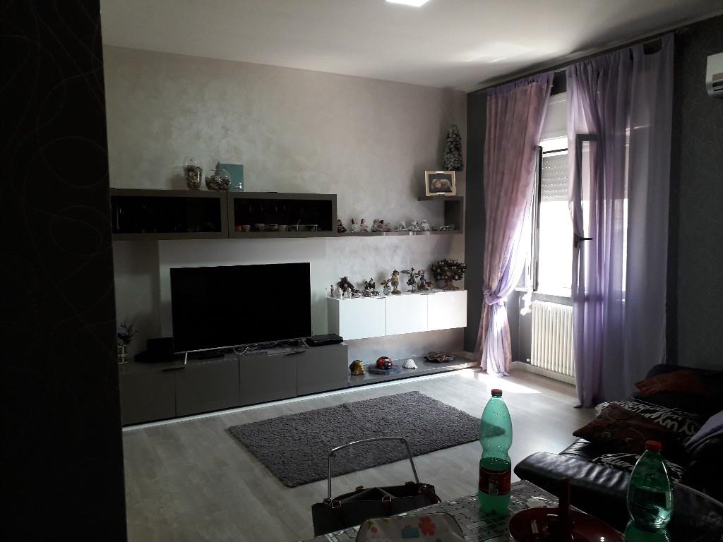 immagine annuncio 1 di 6