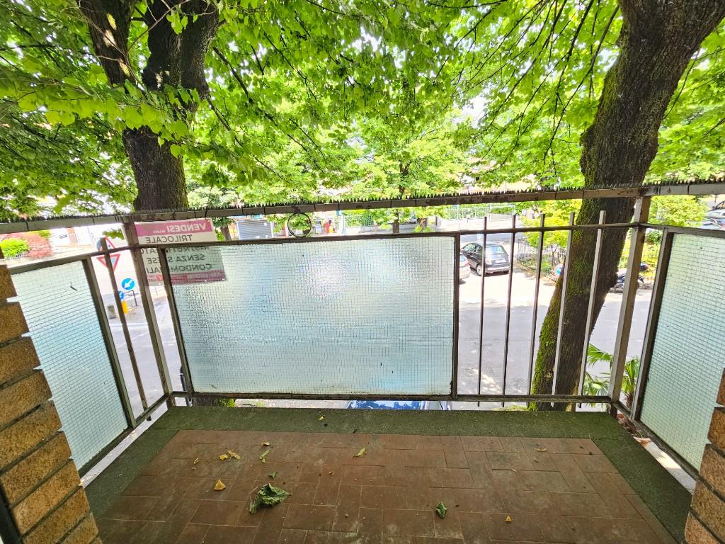 immagine annuncio 4 di 7