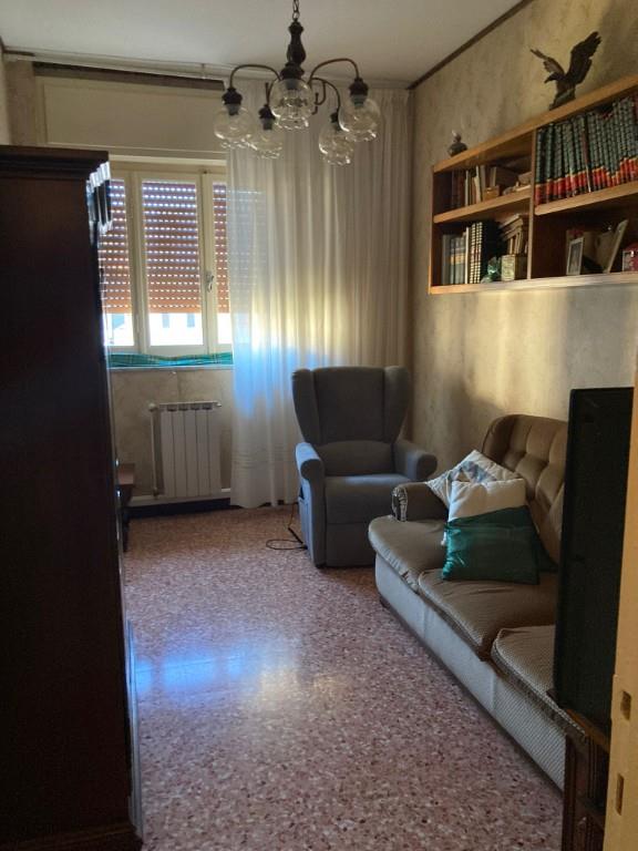 immagine annuncio 3 di 7