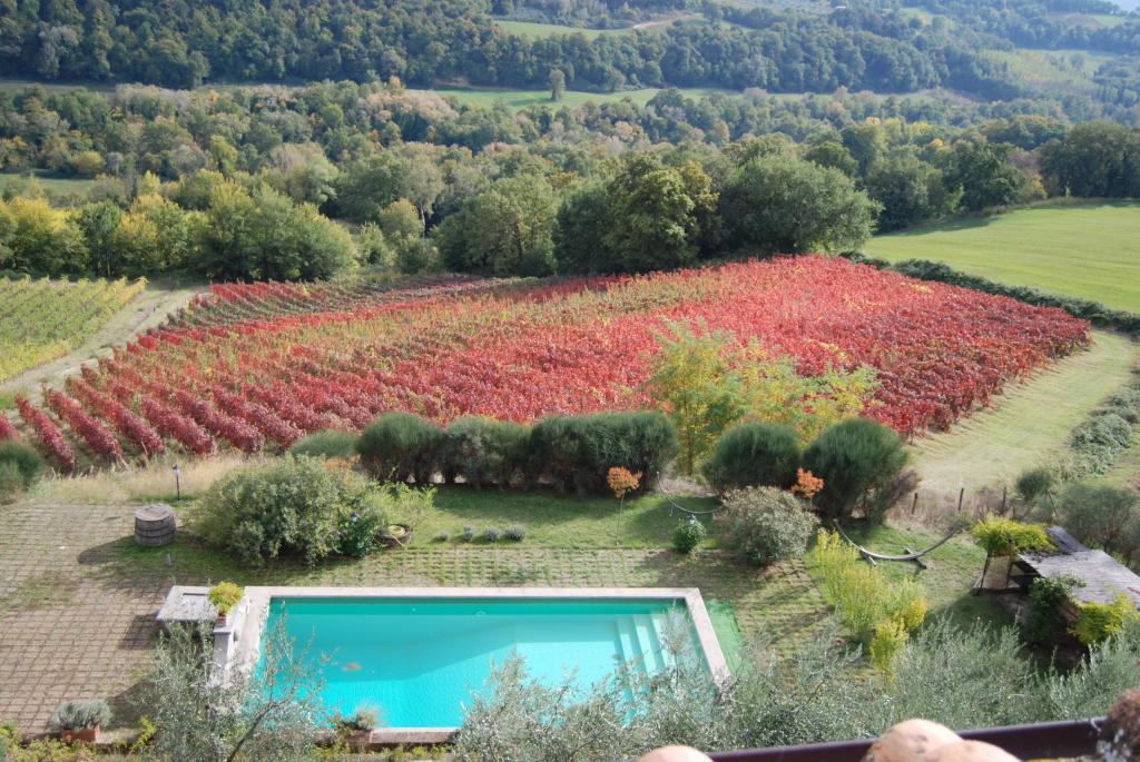 immagine annuncio 6 di 7