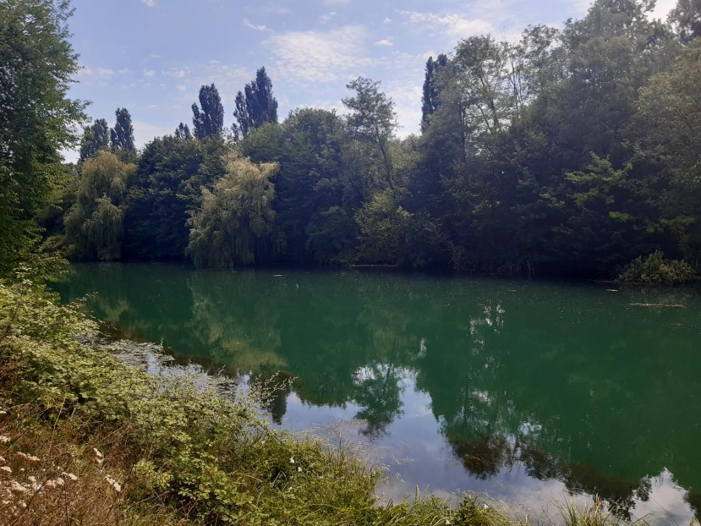 immagine annuncio 3 di 7