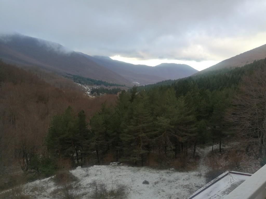 immagine annuncio 4 di 7