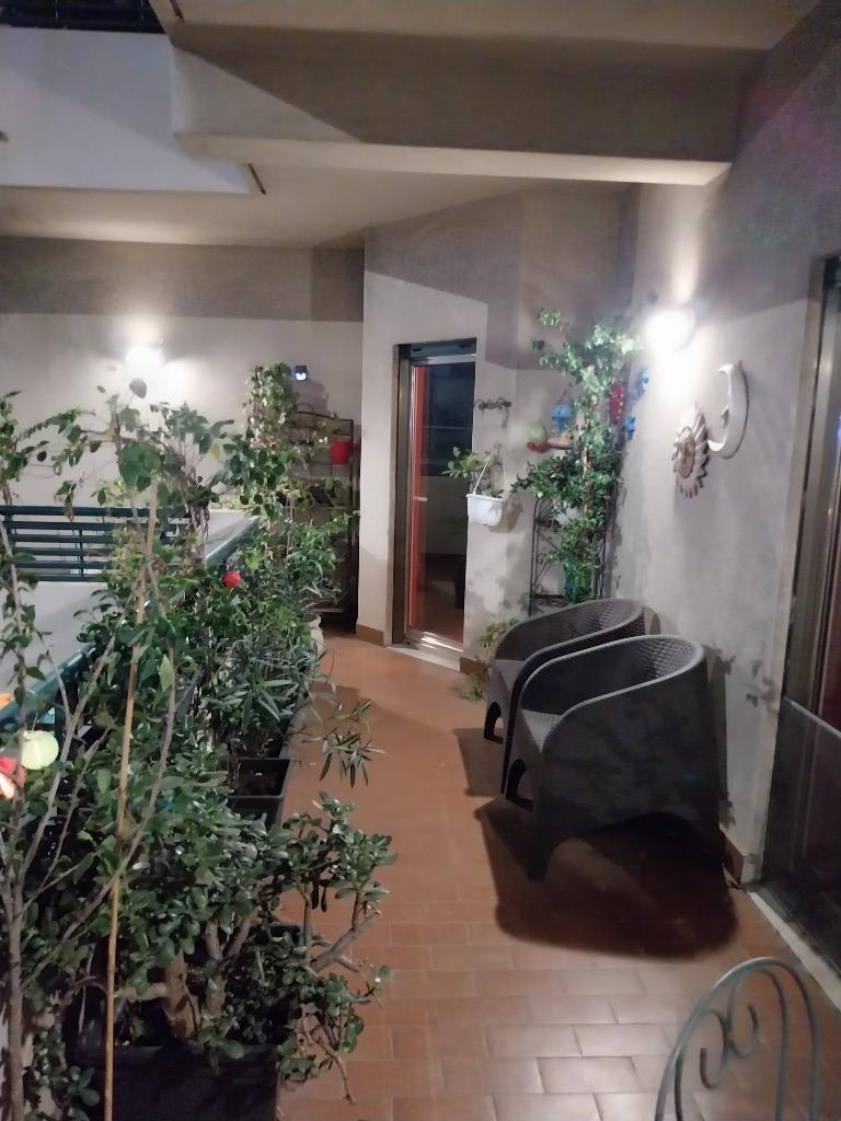 immagine annuncio 5 di 7