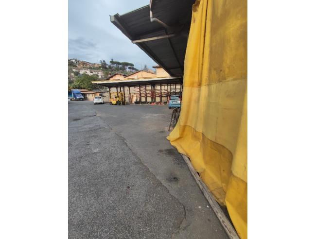 Anteprima foto 4 - Laboratorio in Affitto a Monte Porzio Catone (Roma)