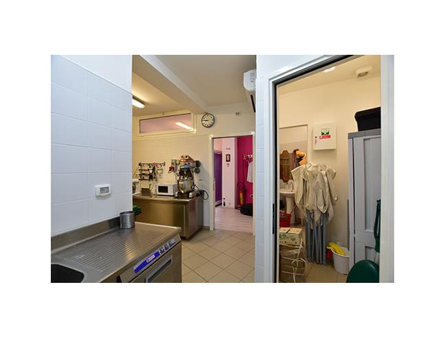 Anteprima foto 3 - Laboratorio in Vendita a Canepina (Viterbo)