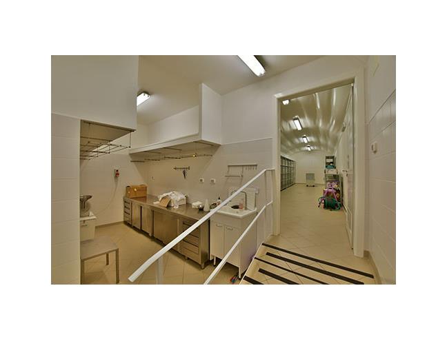 Anteprima foto 5 - Laboratorio in Vendita a Canepina (Viterbo)