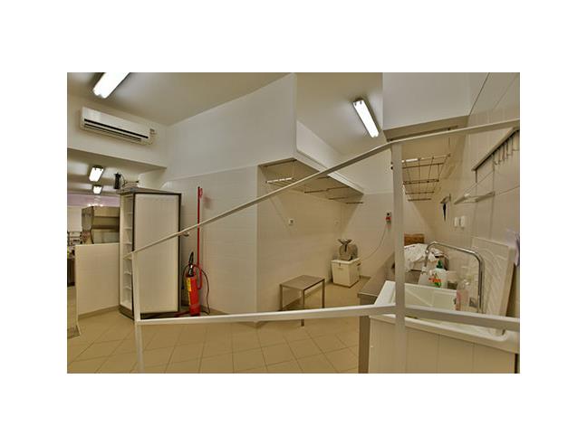 Anteprima foto 6 - Laboratorio in Vendita a Canepina (Viterbo)